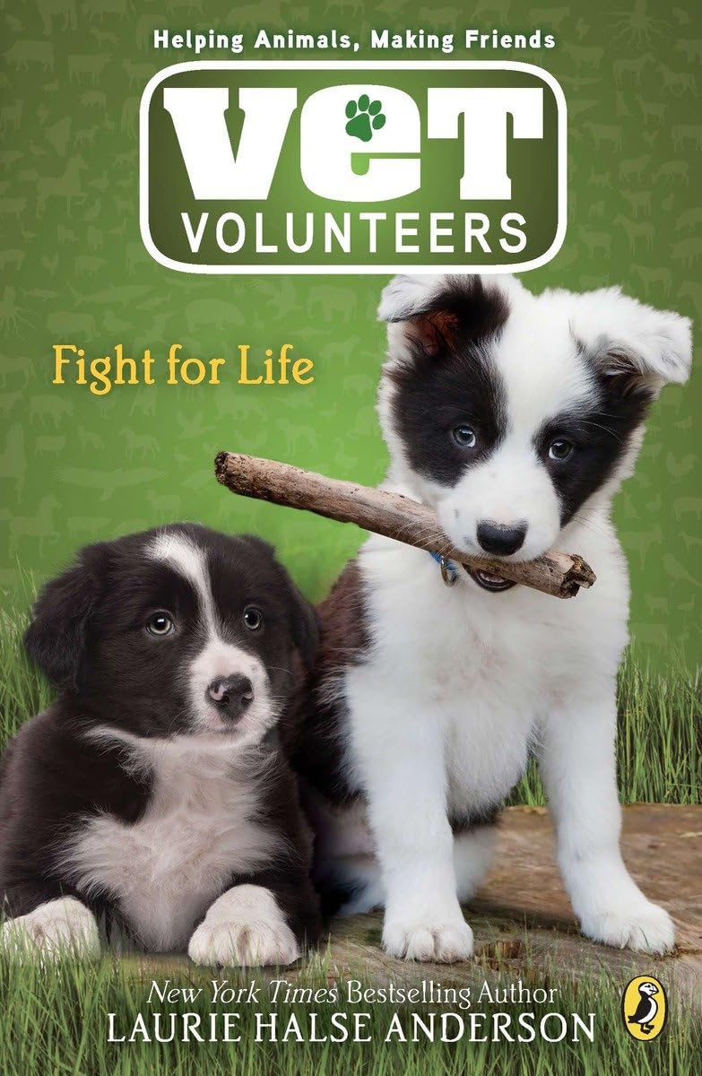 Vet Volunteers: Animal Hospital Volunteers × Teen Growth × A Gentle, Authentic “Emotional Textbook”