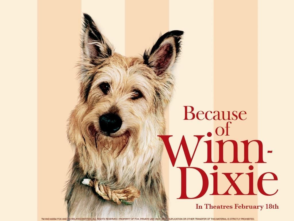 Because of Winn-Dixie